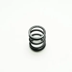 SALVA SERVO SPRING 100412